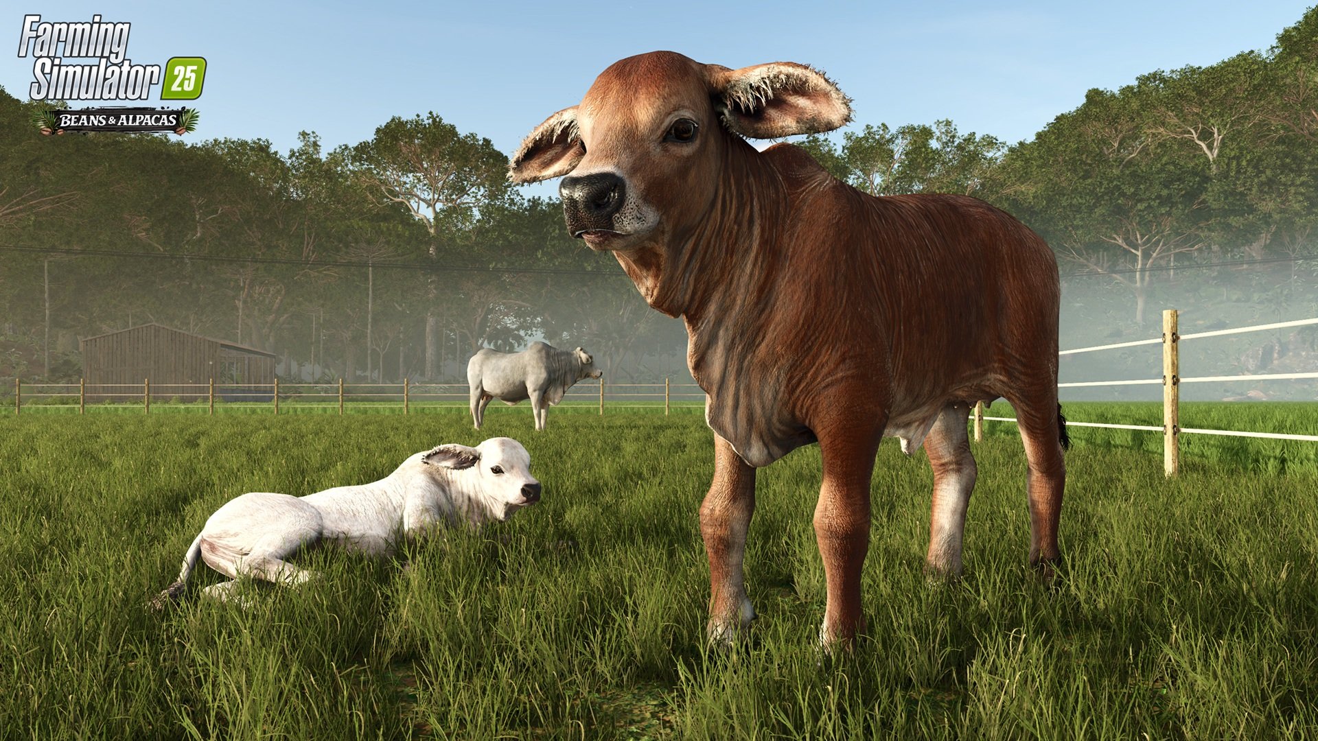 Farming Simulator 25: Beans & Alpacas Edition FS25BA-brahmanCows_en