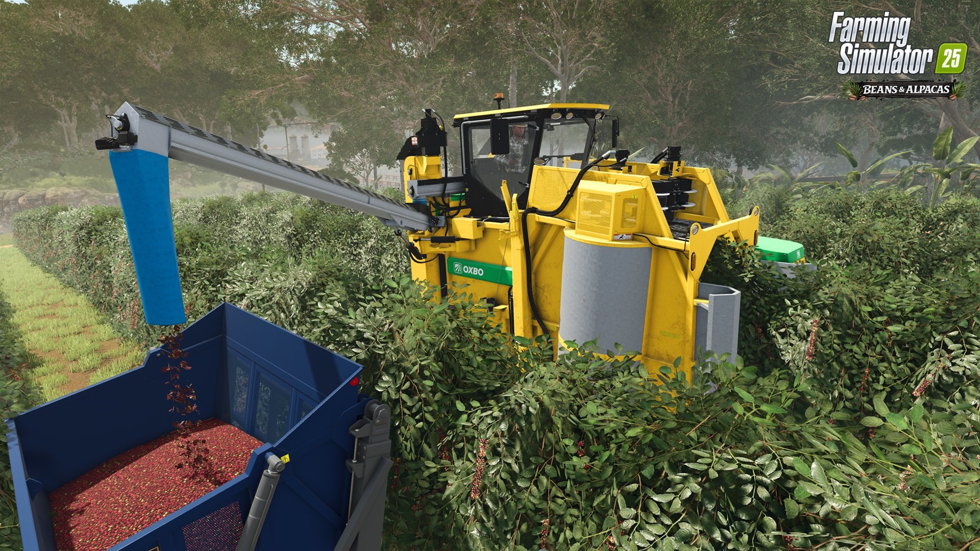 Farming Simulator 25: Beans & Alpacas Edition FS25BA-coffeeHarvest_en